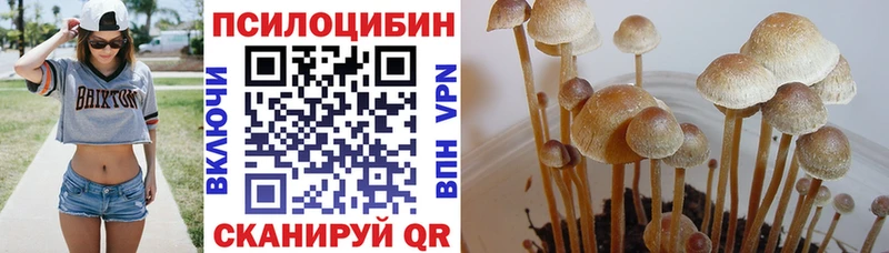 Псилоцибиновые грибы прущие грибы  Пятигорск 